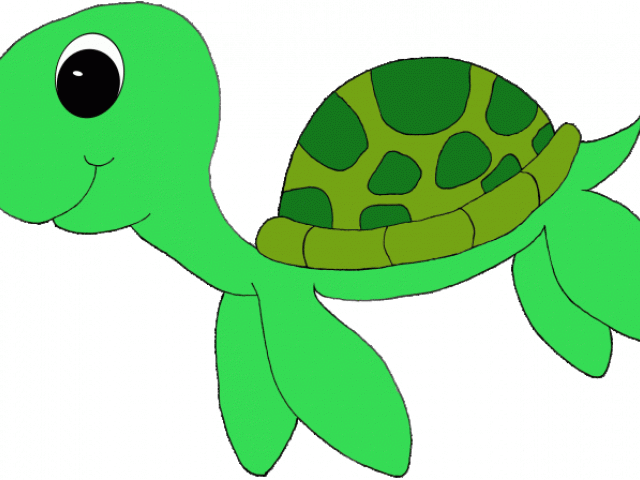 Transparent Sea Turtle Clip Art - Png Download (640x480), Png Download
