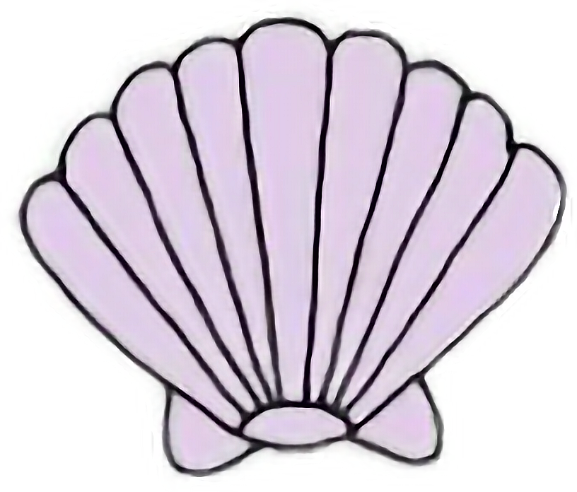 Sea Shell Seashell Mermaid Kawaii Pastel Freetoedit - Outline Of A Shell Clipart (816x696), Png Download