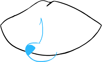 How To Draw Raccoon Clipart (680x678), Png Download