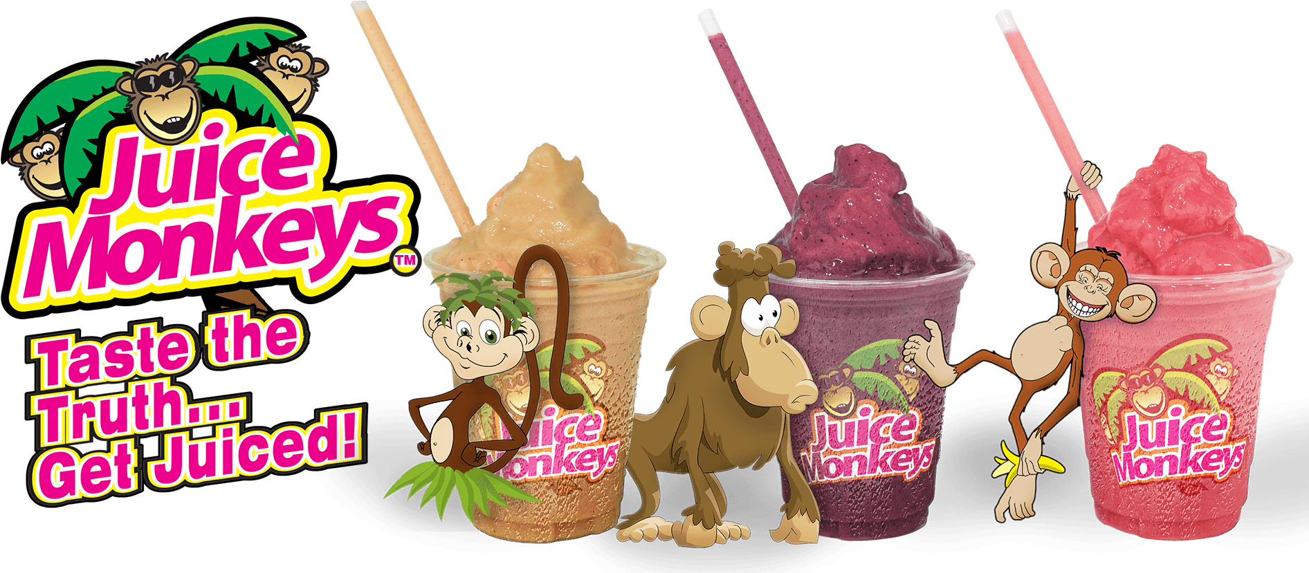 100% Organic, And 100% Vegan Smoothies - Photography Clipart (1920x828), Png Download