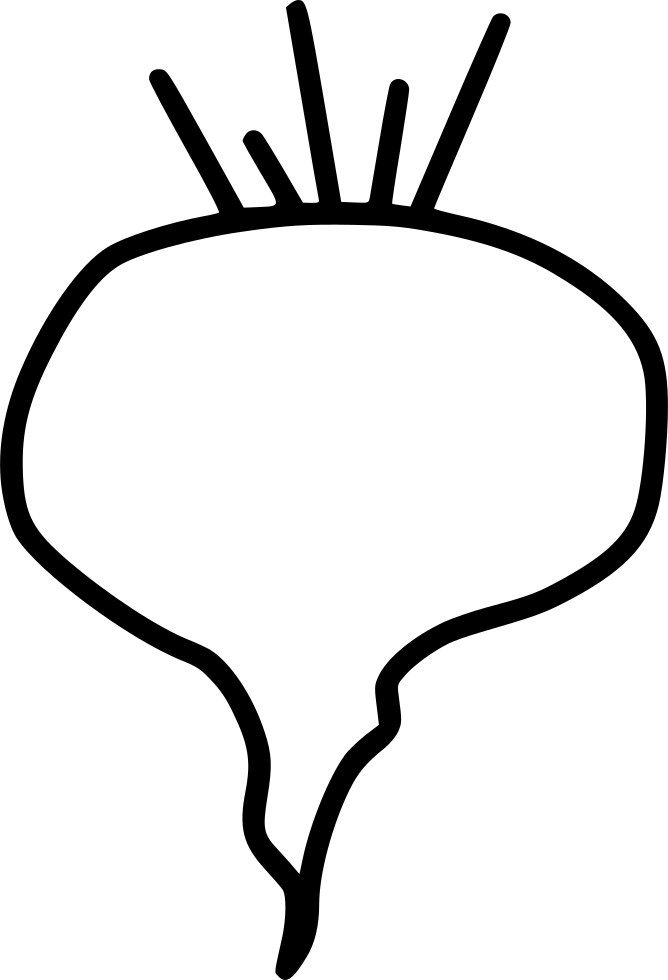 Beet Root Food Vegetable Autumn Comments - Common Beet Clipart (668x980), Png Download