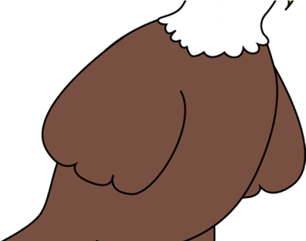 Bald Eagle Clipart Cute - Cartoon - Png Download (640x480), Png Download