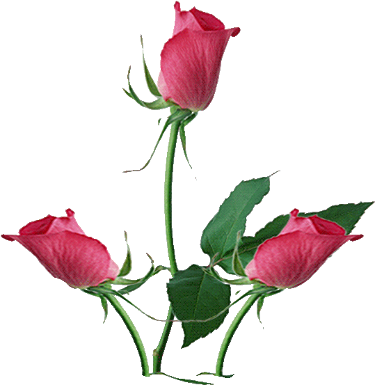 Изображение Для Плейкаста - Lots Of Heart Anniversary Card Clipart (700x559), Png Download