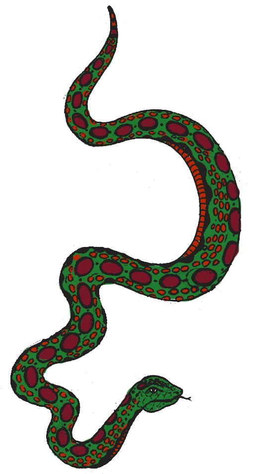 Stage 2 Snakes For Fashion Inawonderworld - Colourful Snake Png Clipart (560x1090), Png Download