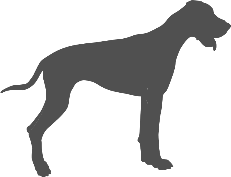 Kennel Club Good Citizen Awards Clipart (810x609), Png Download