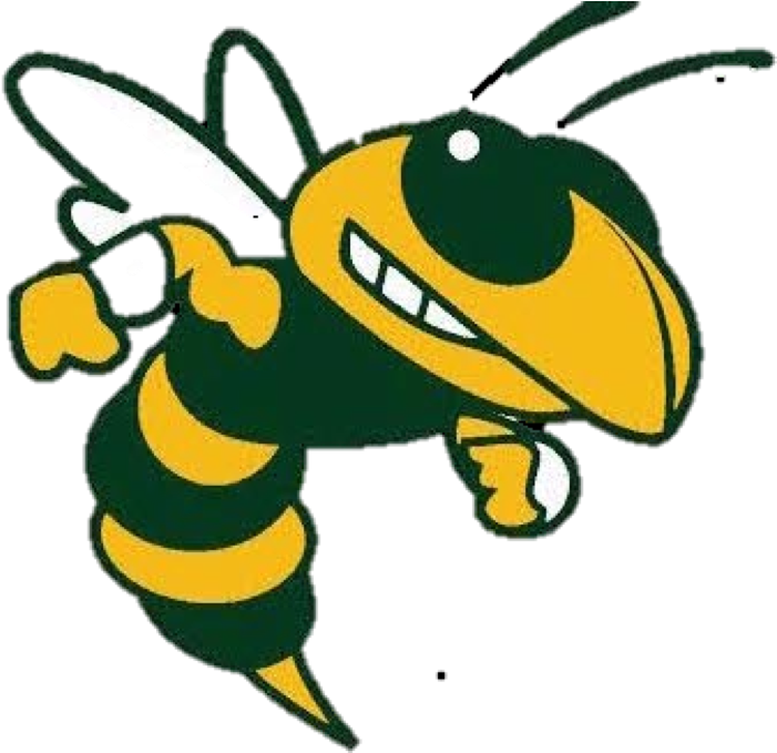 Clipart Library Stock Home Carolyn Park Hornets - Oxnard High School Logo - Png Download (718x678), Png Download