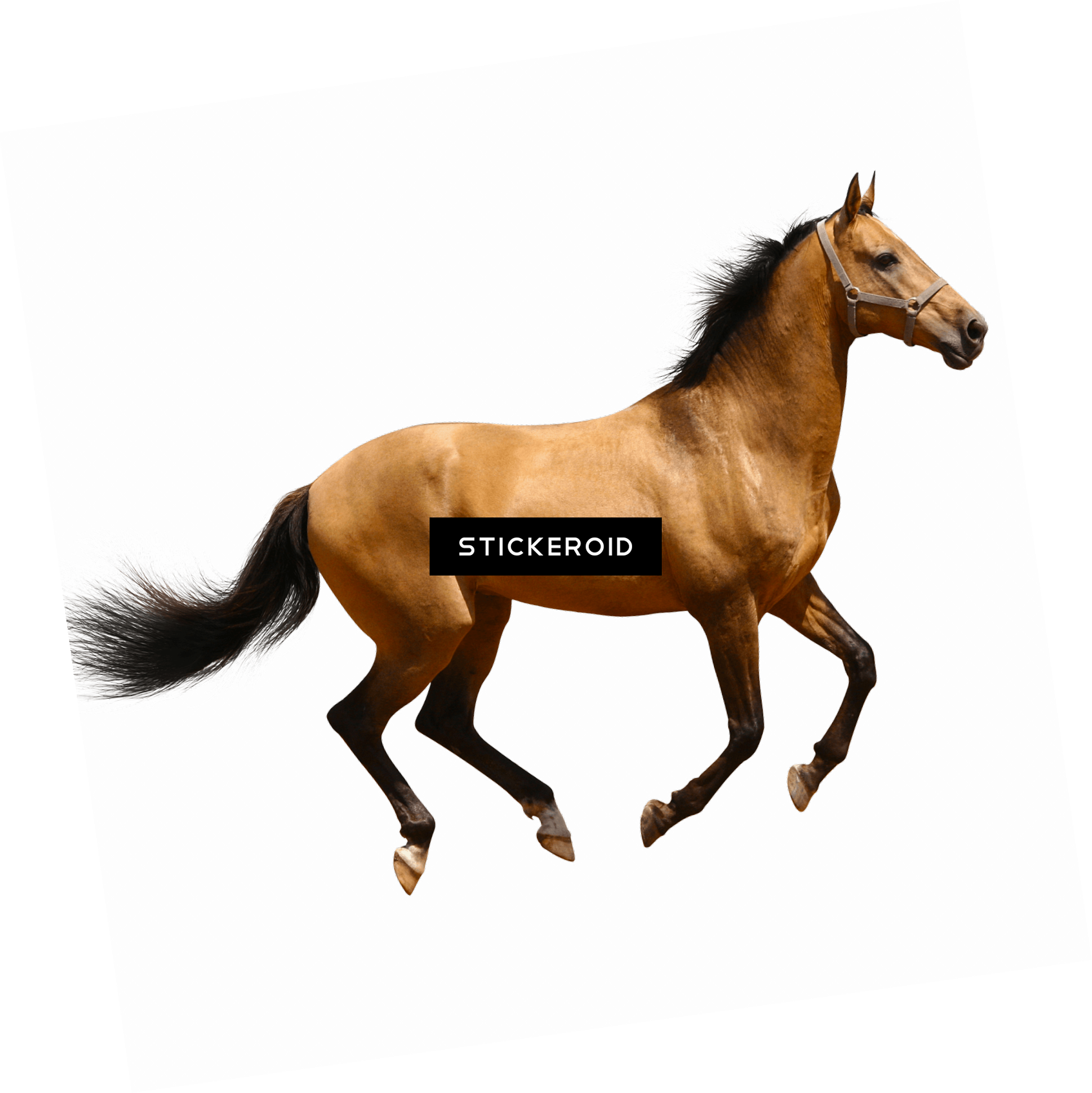 Running Brown Horse Animals - Wild Animal Domestic Animals Clipart (1693x1694), Png Download