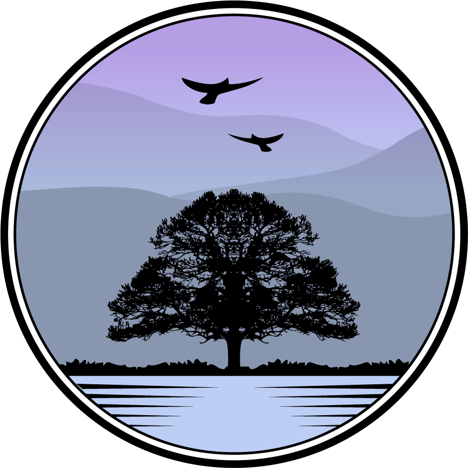 Gallery Of Irish Landscape, Coastal, Dublin, And Black - Handbook To Interactive Bible Study [book] Clipart (971x971), Png Download