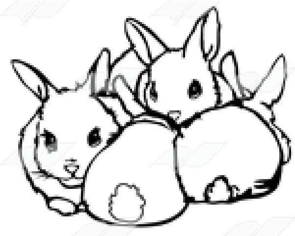 Rabbit Clipart Four - Sketch - Png Download (640x480), Png Download