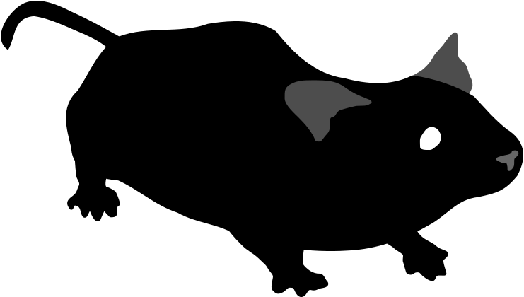 320 × 191 Pixels - Mouse Svg Clipart (800x478), Png Download