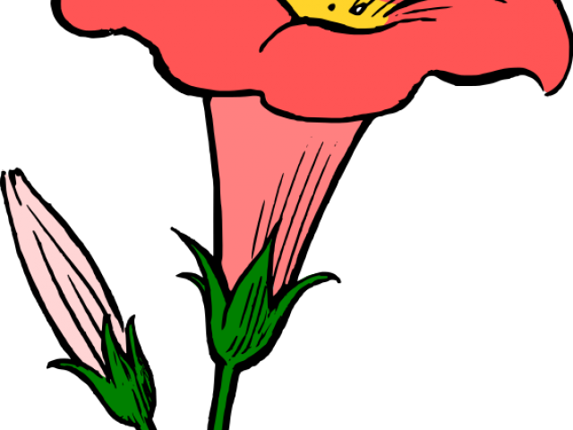 Yellow Flower Clipart Genda - Flower Line Art - Png Download (640x480), Png Download