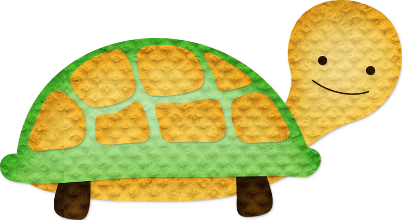 Safari‿✿⁀°•○ Dear Zoo - Tortoise Clipart (800x437), Png Download