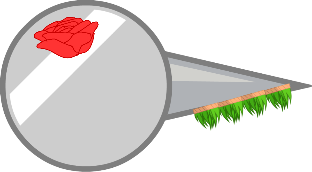 Hawaii Naily Body - Garden Roses Clipart (1072x593), Png Download