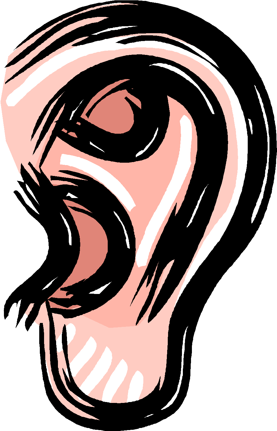 Surrounds The Ends Of Bone To Prevent Bones From Rubbing - Sensory Perception Clipart (996x1528), Png Download