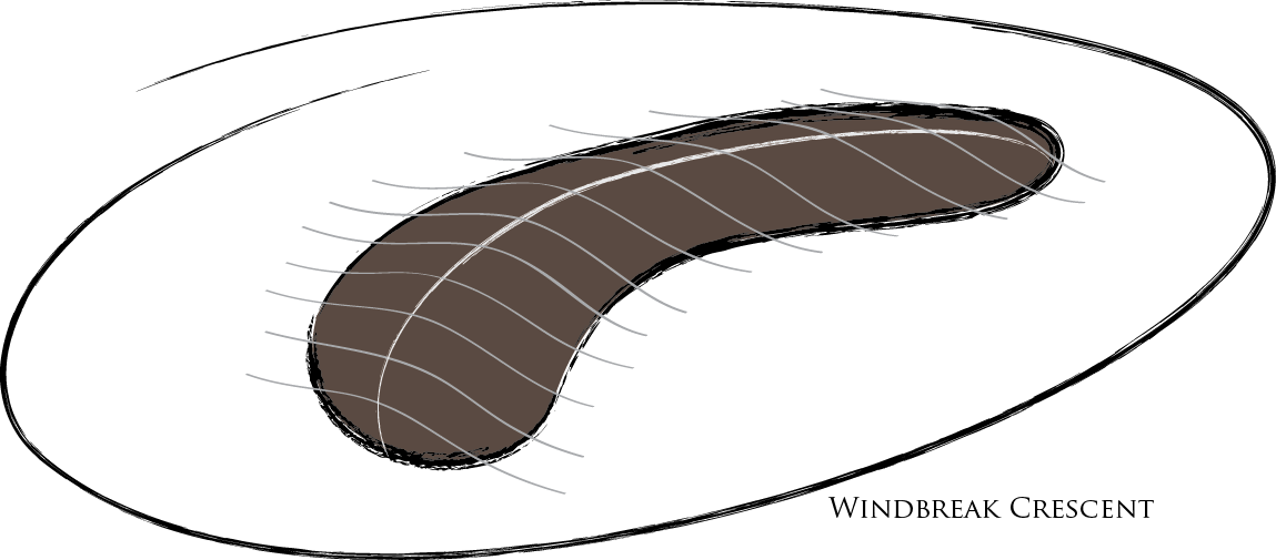 Wind Is A Serious Issue On The Coastal Property, Since Clipart (1149x505), Png Download