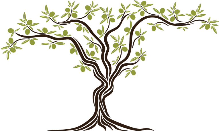 "from The Seed An Olive Tree Sprouted, Simbol Of Peace, - Olive Clipart (786x482), Png Download