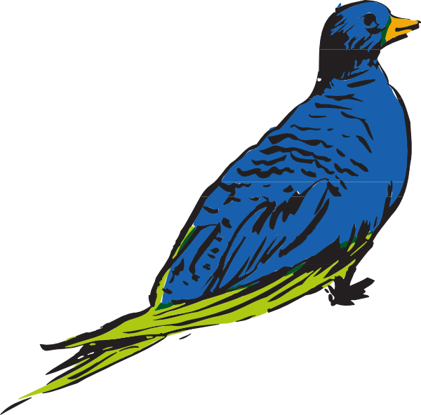 Bird Clipart (600x592), Png Download