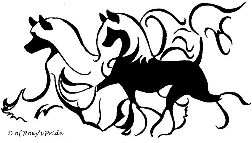 Geen Nest In De Planning Voor - Dog Clipart (850x483), Png Download