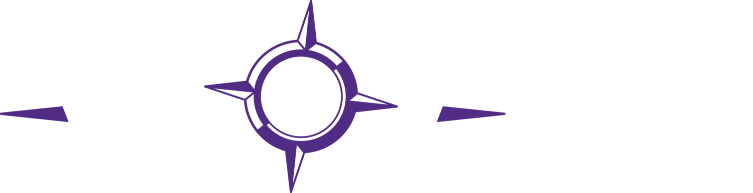 Png Freeuse Download Accountant Clipart Chief Financial - Aurora Spine Transparent Png (1500x386), Png Download