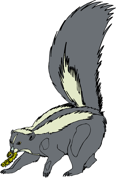 Skunk Clip Art - Skunk Painting Transparent Png (489x750), Png Download
