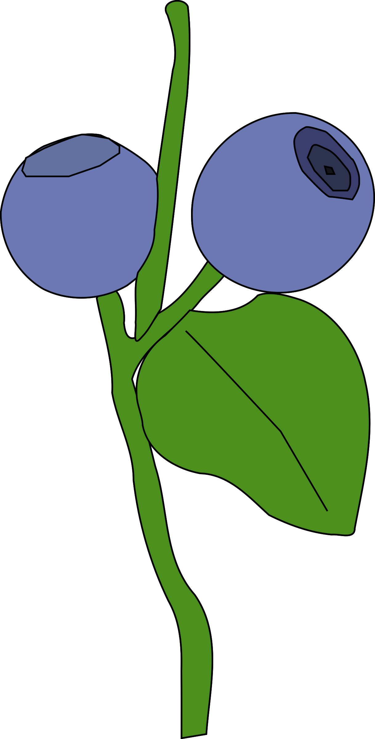 Berry Clip Art - Png Download (1217x2400), Png Download