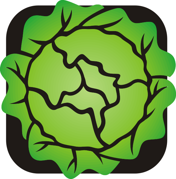 Lettuce Clip Art - Png Download (588x598), Png Download