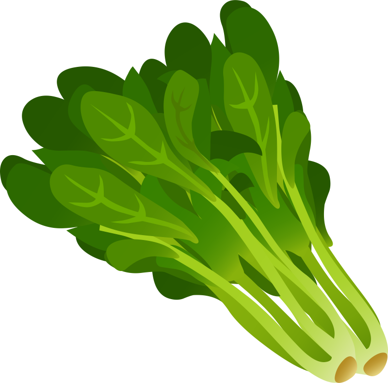 Lettuce Clipart - Png Download (600x593), Png Download
