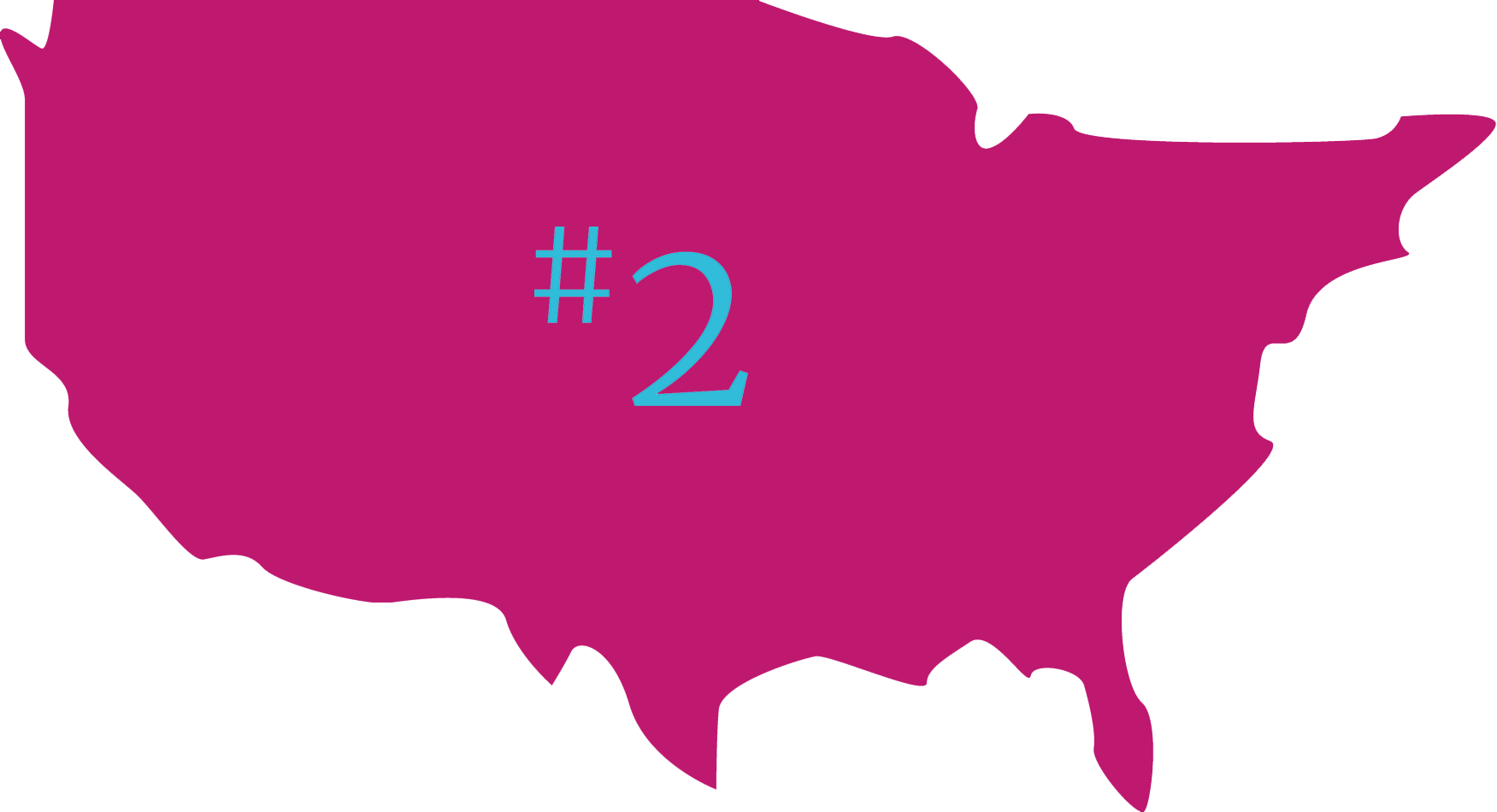 Liver Clipart Cirrhosis - Usa Shape Black - Png Download (1751x950), Png Download