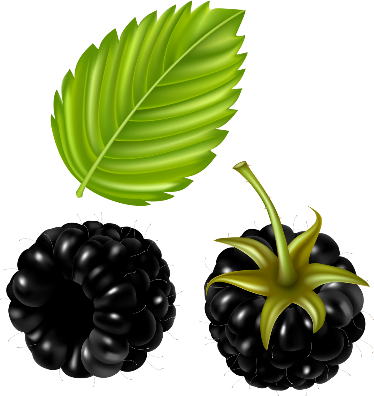 Фотки Fruits And Vegetables, Watermelon, Fruit Clipart, - Vector - Png Download (1209x1280), Png Download