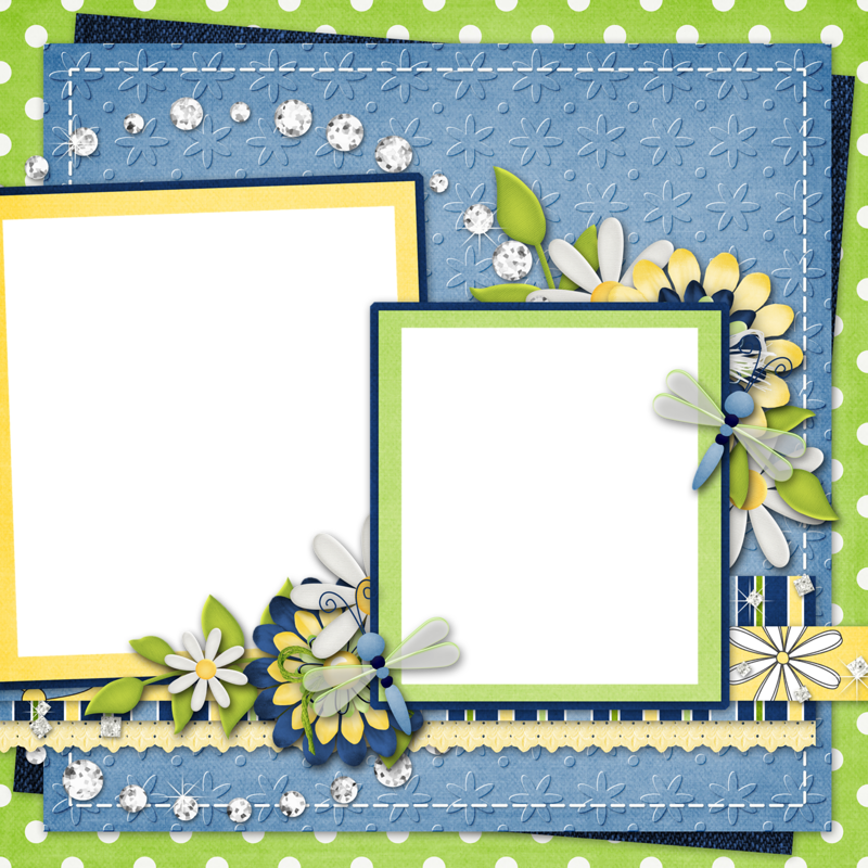 Album - Picture Frame Clipart (800x800), Png Download