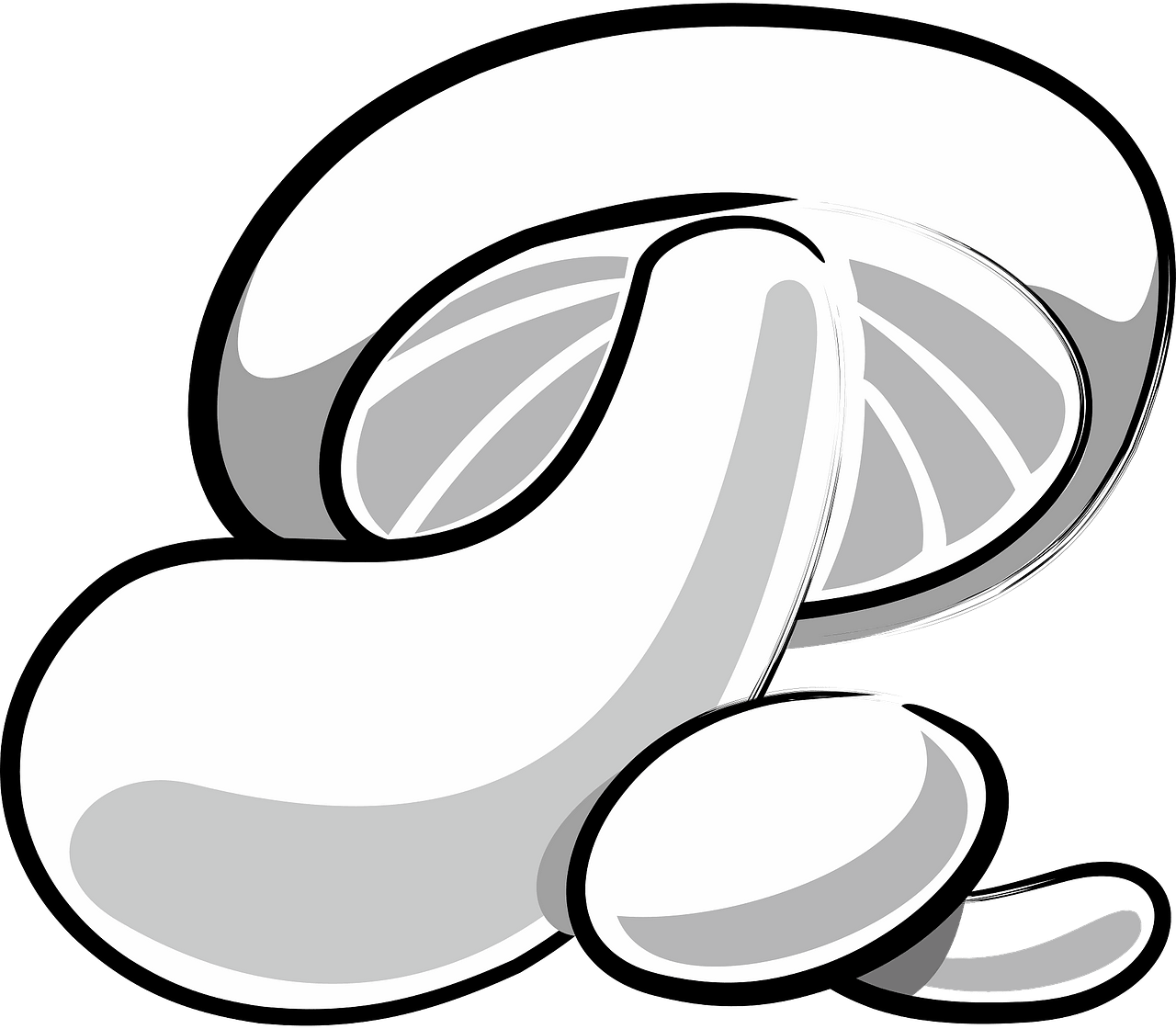 Biology Clip Art Download - Mushroom - Png Download (800x697), Png Download