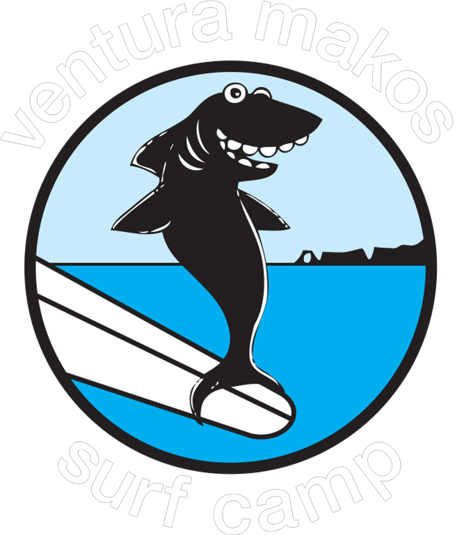 Vm Shark Art - Cartoon Shark Surfer Transparent Clipart (657x768), Png Download