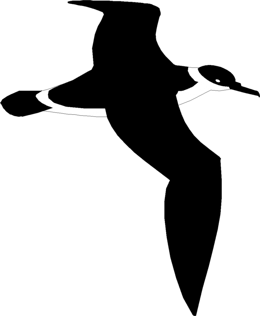 Shearwater Boats - Boat Clipart (844x1024), Png Download