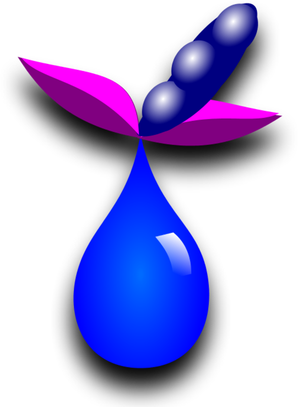 Drop Liquid Plant - Clip Art - Png Download (600x820), Png Download