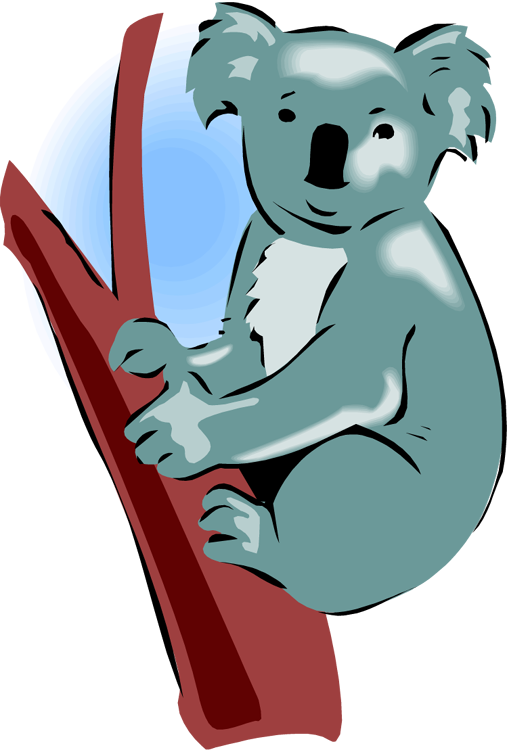 Koala Clipart Images - Koala - Png Download (507x750), Png Download