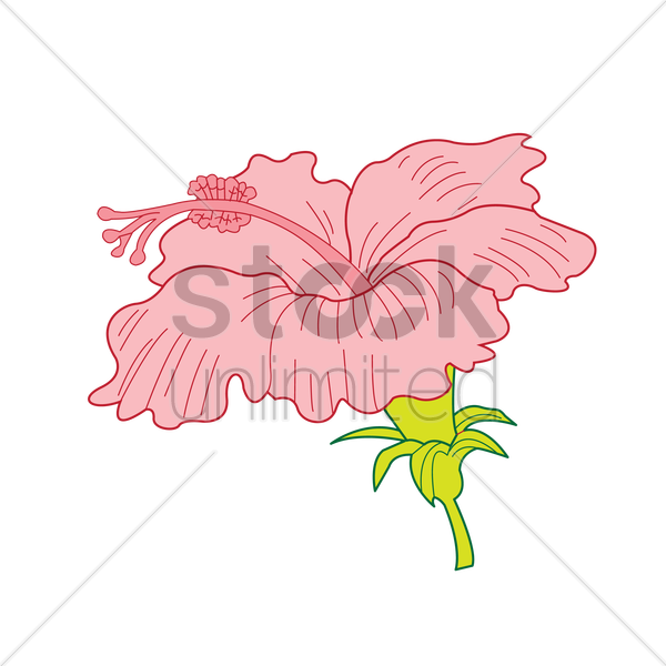 Petal Clipart Floral Design Visual Arts Clip Art - Shoeblackplant - Png Download (600x600), Png Download