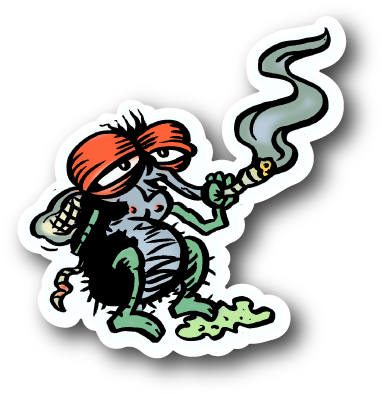Fly Smoking Weed Sticker - Fly Smoking Clipart (600x600), Png Download