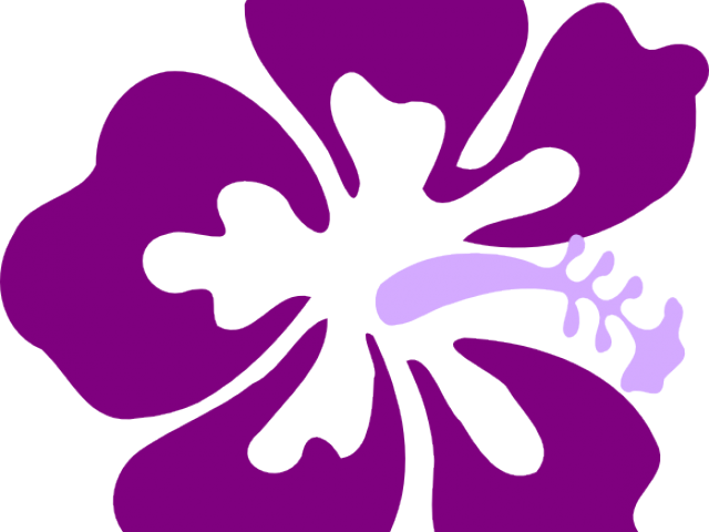 Red Flower Clipart Jaswand Big Island Tv Logo Png Download Full Size Clipart 1805704 Pinclipart