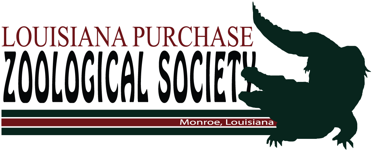 Become A Zoo Partner - Galatée Films Clipart (1200x518), Png Download