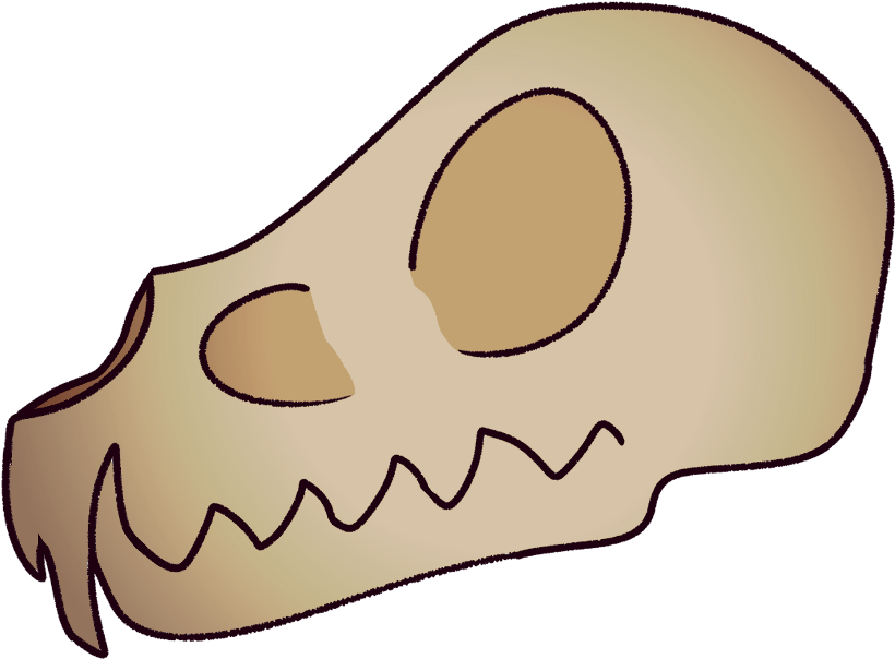 Skull Felinroo Openspecies Filtered Freetoedit - Skull Clipart (1204x1024), Png Download