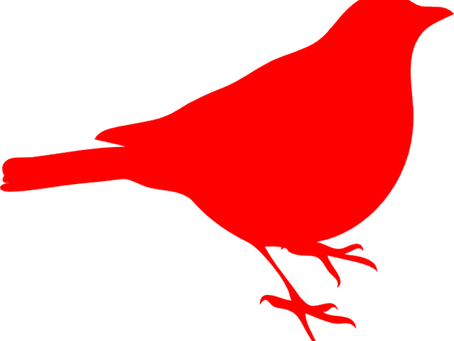 Baby Clipart Cardinal - Red Sparrow Bird Png Transparent Png (640x480), Png Download
