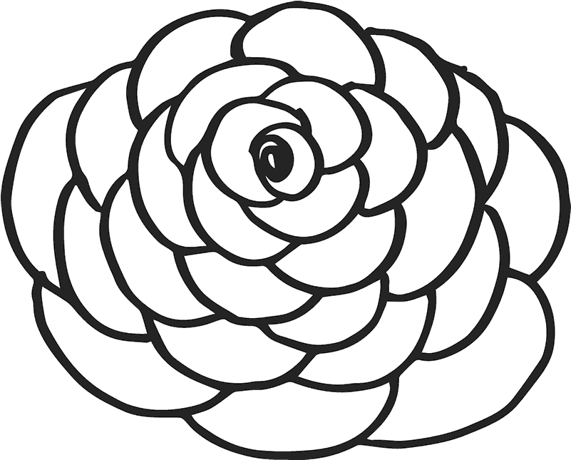 Carnation Outline Rubber Stamp - Flower Stamp Outlines Clipart (800x800), Png Download