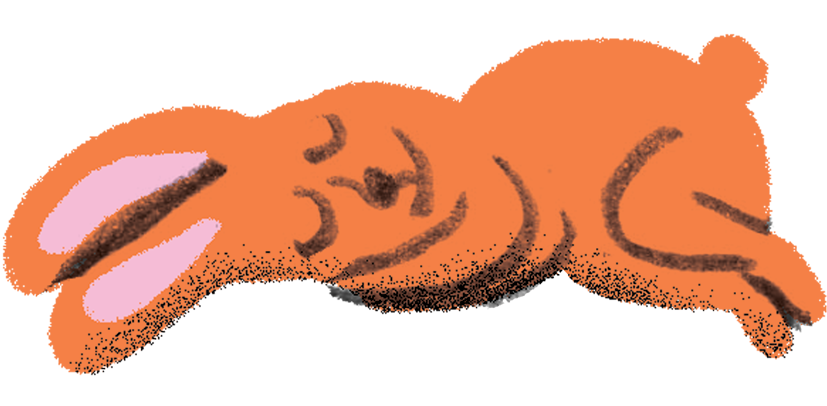 The Popular Children's Musician And Creator Of The - Animal Clipart (1014x552), Png Download