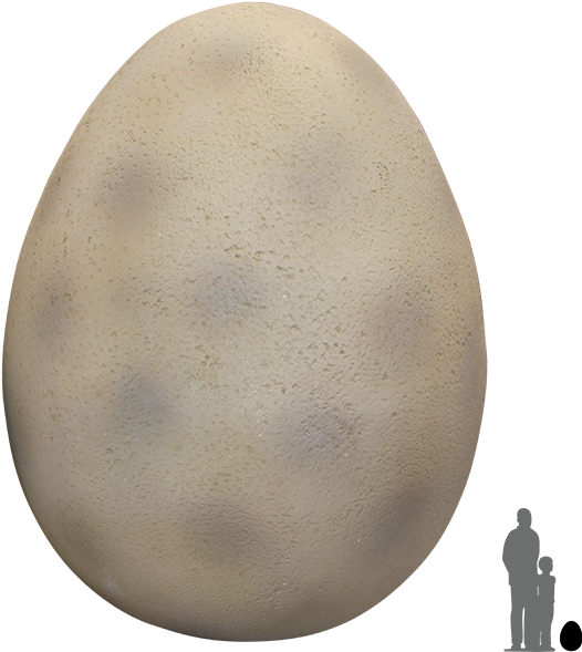 Large Dinosaur Egg - Dinosaur Egg Png Clipart (640x640), Png Download