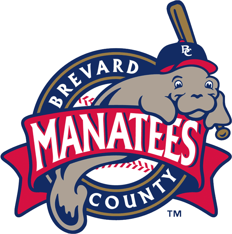 Brevard County Manatees Clipart (800x800), Png Download
