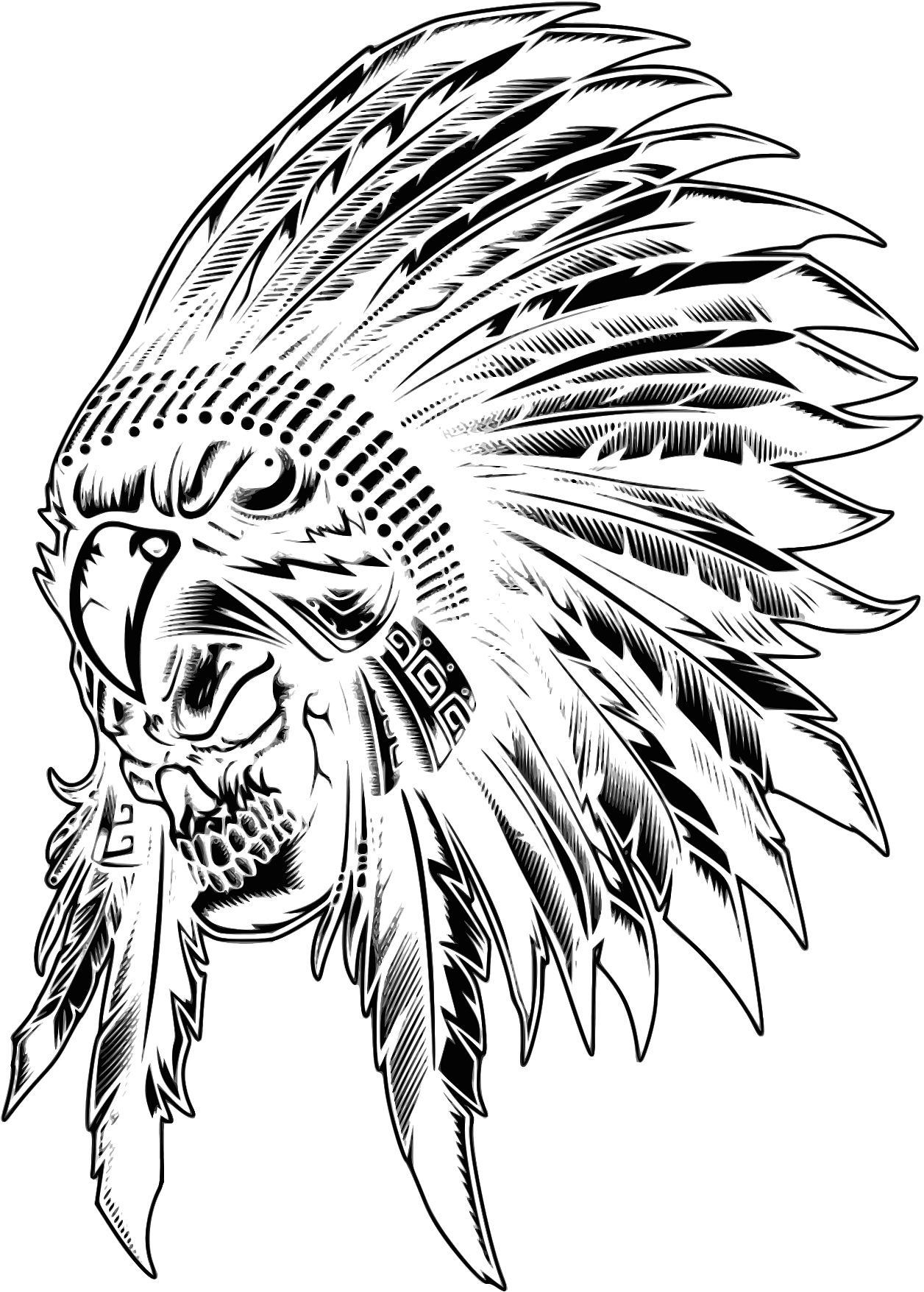 Skull, Indian, Aborigen - Sketch Clipart (707x1000), Png Download