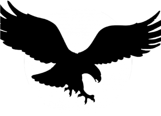 Black Eagle Clipart Picsart - Png Download (640x480), Png Download