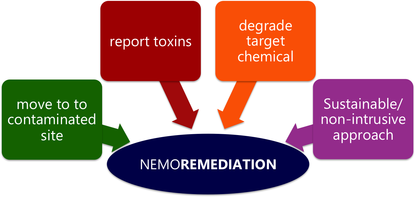Flowchart Pollution Bioremediation Diagram Bioremediation - Different Types Of Flow Chart Clipart (1500x740), Png Download