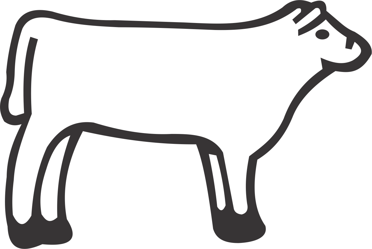 Heifer Steer Clipart (1277x855), Png Download