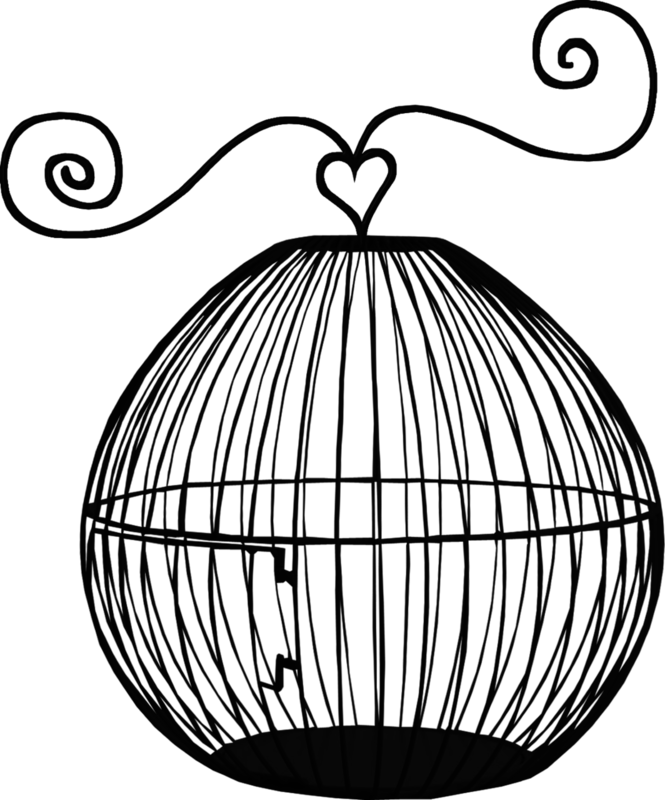 Empty Bird Cages - Cage Clipart (665x800), Png Download